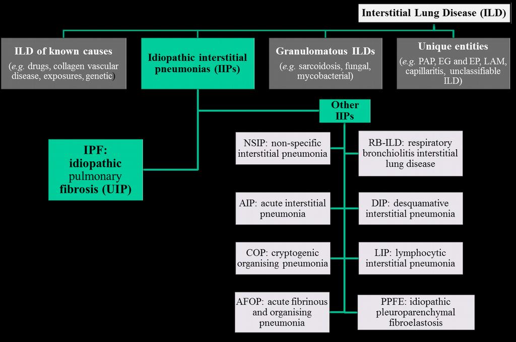 Osztályozás 10 15% 25% 55% <2% <1% 5% rare rare EG, eosinophilic granuloma; EP, eosinophilic pneumonia; LAM,