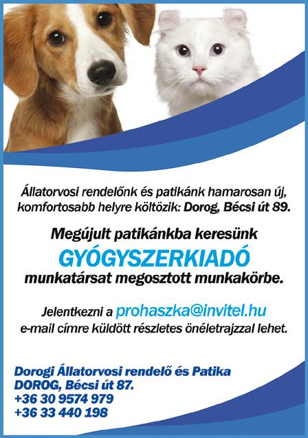 ezzel kapcsolatos jogvitákból keletkező következményeket és hátrányokat a Megrendelőre hárítja.