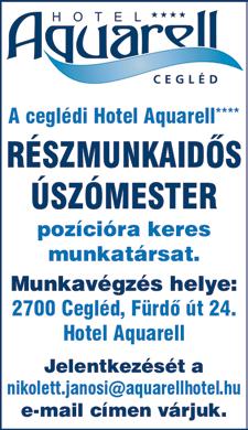 bejelentett munkahely - Új, változatos feladatokban való részvétel - Utazási költségtérítés