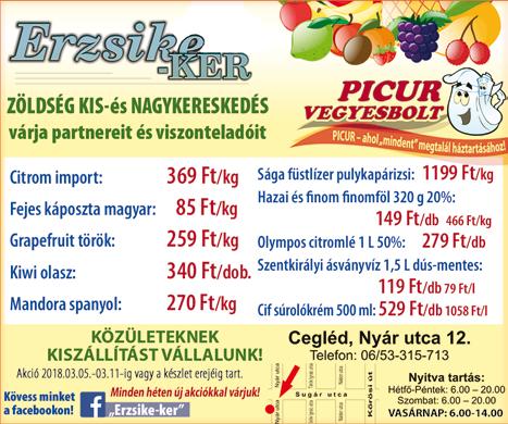 A szerviznapunk keretében