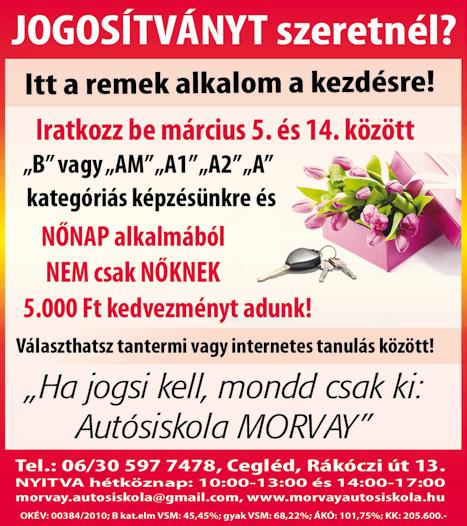 www. dpmsz. hu 7 R E D Ő N Y E X P R E S S Z! Leszakadt, hibás fa-műanyag redőnyök, reluxák javításacseréje, gurtnicserék.