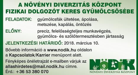 Bármilyen műszaki végzettség, különösen autószerelő, autóvillamossági szerelő, karosszéria lakatos vagy fényező szakma előnyt