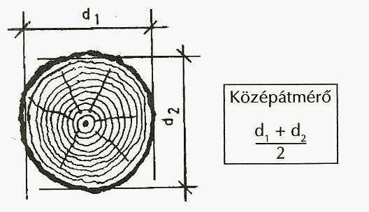 2.9. ábra: Rönk középátmérő 20 A számítások alapját a hengernél ismert összefüggések képezik 2.10. ábra: Rönk számítása 21 A számításhoz a következő méretekre van szükség l, = rönk hossz m.