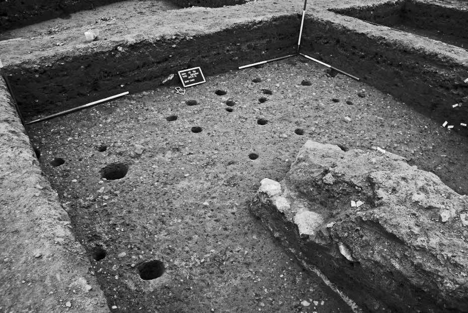 Detail of an Árpádian Age house with wattle-and-daub walls in Trench II/2 (photo: László Nagy) Fig.