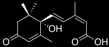Az abszcizinsav Abszcisszió = leválás Lehullott levelekben sok van belőle DE nem a hormon okozza a levélhulást! A nyugalmi állapot indukciója és fenntartása 1. Általában gátolja a rügyek növekedését.