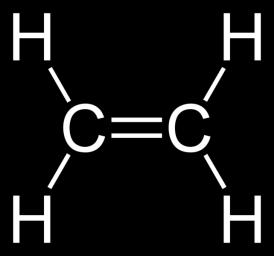 Az etilén (C 2 H 4 ) Az első gáznemű növényi hormon 1.