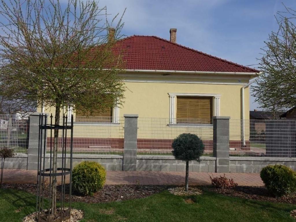 A nívós, örökzöld növényekkel beültetett, talajtakaróval fedett közterület