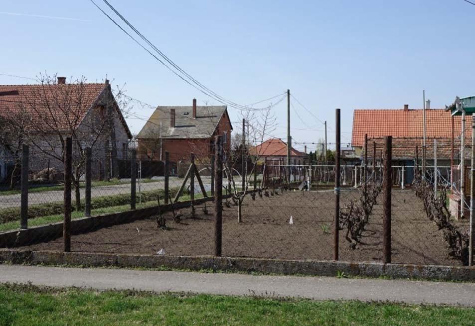 A konyhakertként használt kertek is lehetnek nagyon szépek, ha gondozottak és ápoltak.