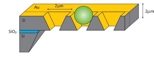szén-nitrid alapú
