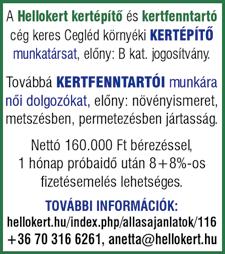 Telefon: +36 30 476 6768 SOFŐR kollégát keresek C kategóriás jogosítványnyal és GKI- val! Belföldi munkavégzésre, hétfőtől péntekig, otthon alvással és útiköltség térítéssel.