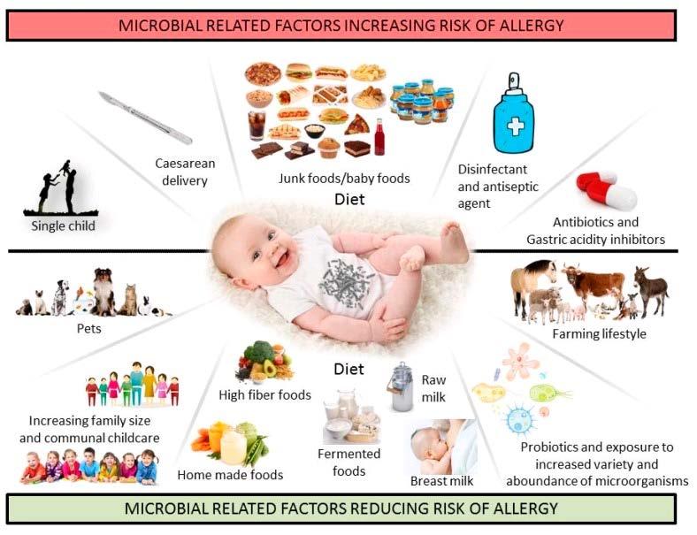 Aitoro R et al. Nutrients.