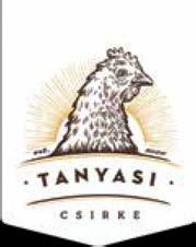 CSIRKE VAGY