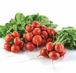 CITROM*** 500 g