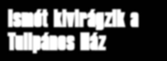 június Ismét kivirágzik a Tulipános Ház Indul az