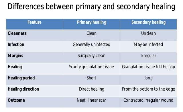 A PRIMÉR ÉS SZEKUNDÉR SEBGYÓGYULÁS KÖZÖTTI KÜLÖNBSÉGEK Jellemzők Primer Szekundér Tisztaság Tiszta Nem tiszta Infekció Nincs Lehet Szélek Szabályos,egyenes Szabálytalan Gyógyulás Minimális sarjszövet