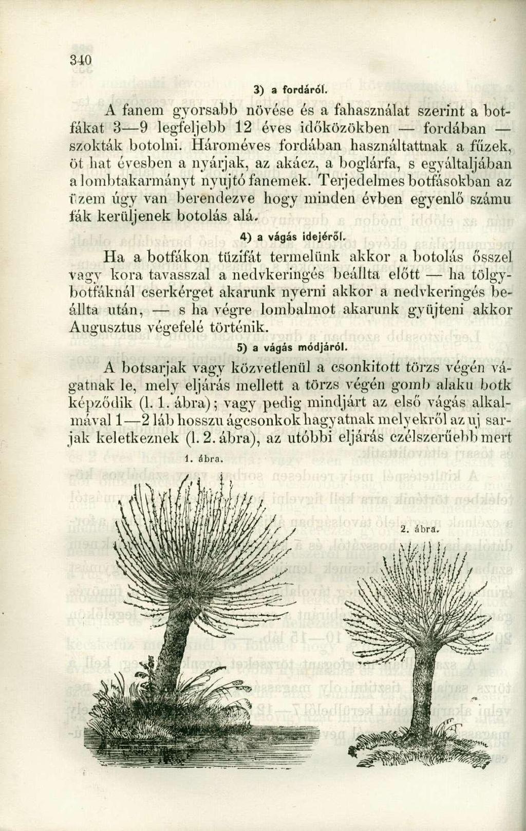 3) a fordáról. A fanem gyorsabb növése és a fahasználat szerint a botfákat 3 9 legfeljebb 12 éves időközökben fordában szokták botolni.