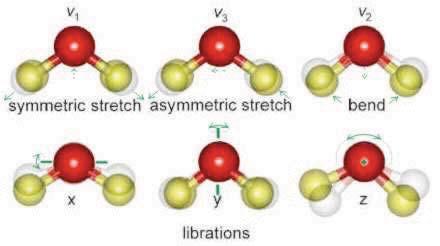 A vízmolekula dinamikája Forgó-rezgő mozgás A cseppfolyós víz