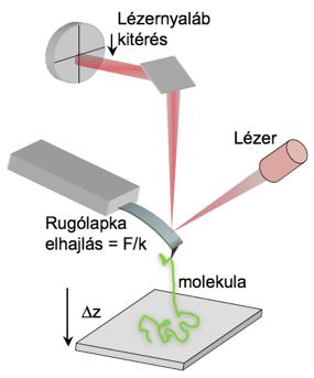 Fehérjekitekerési módszerek