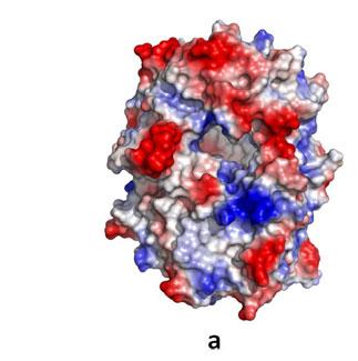 ábra A PhAAp-oldószer komplex és a PhAAP inhibitorral képezett szerkezetének összehasonlítása.