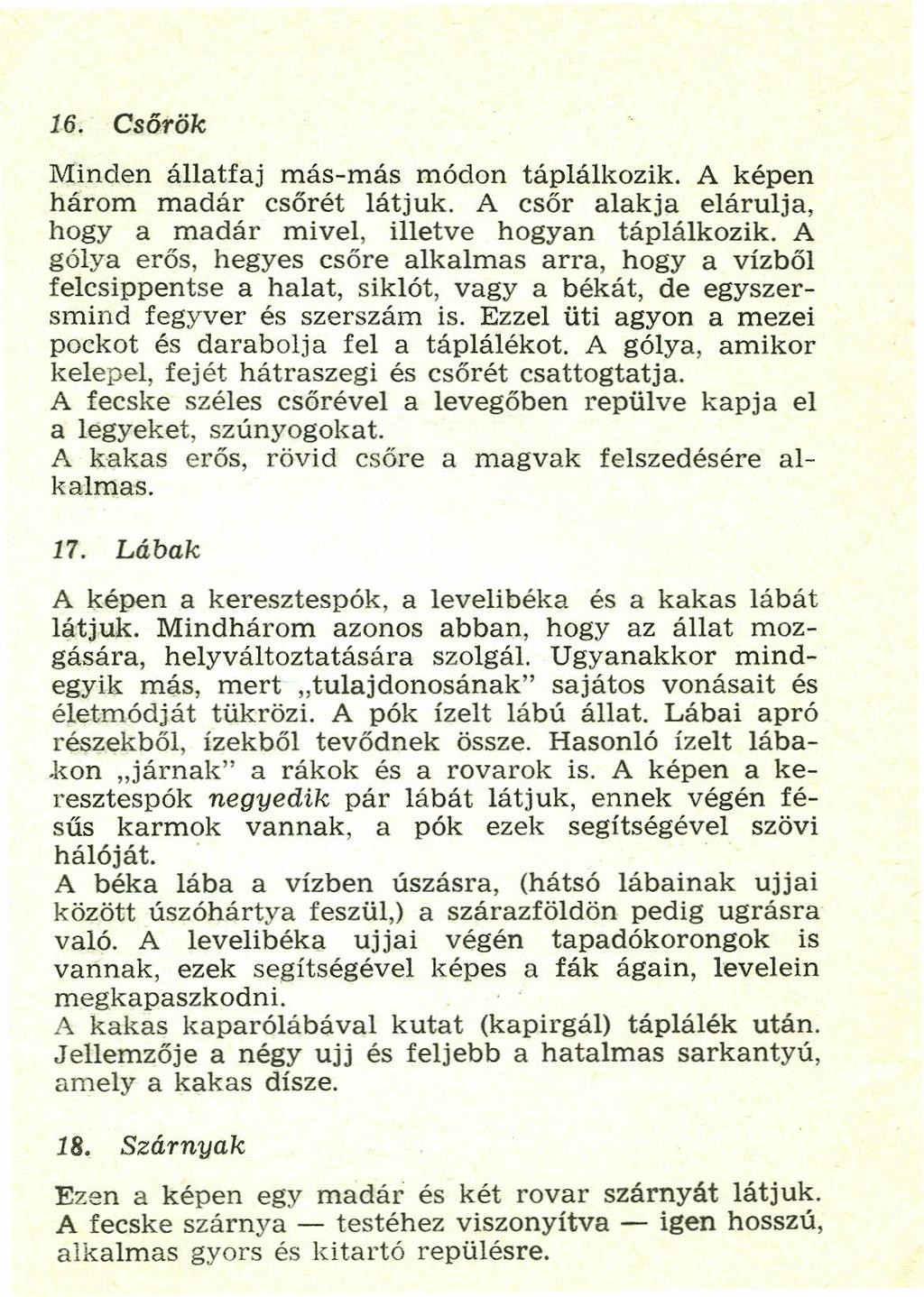 16. Csőrők Minden állatfaj más-más módon táplálkozik. A képen három madár csőrét látjuk. A csőr alakja elárulja, hogy a madár mivel, illetve hogyan táplálkozik.