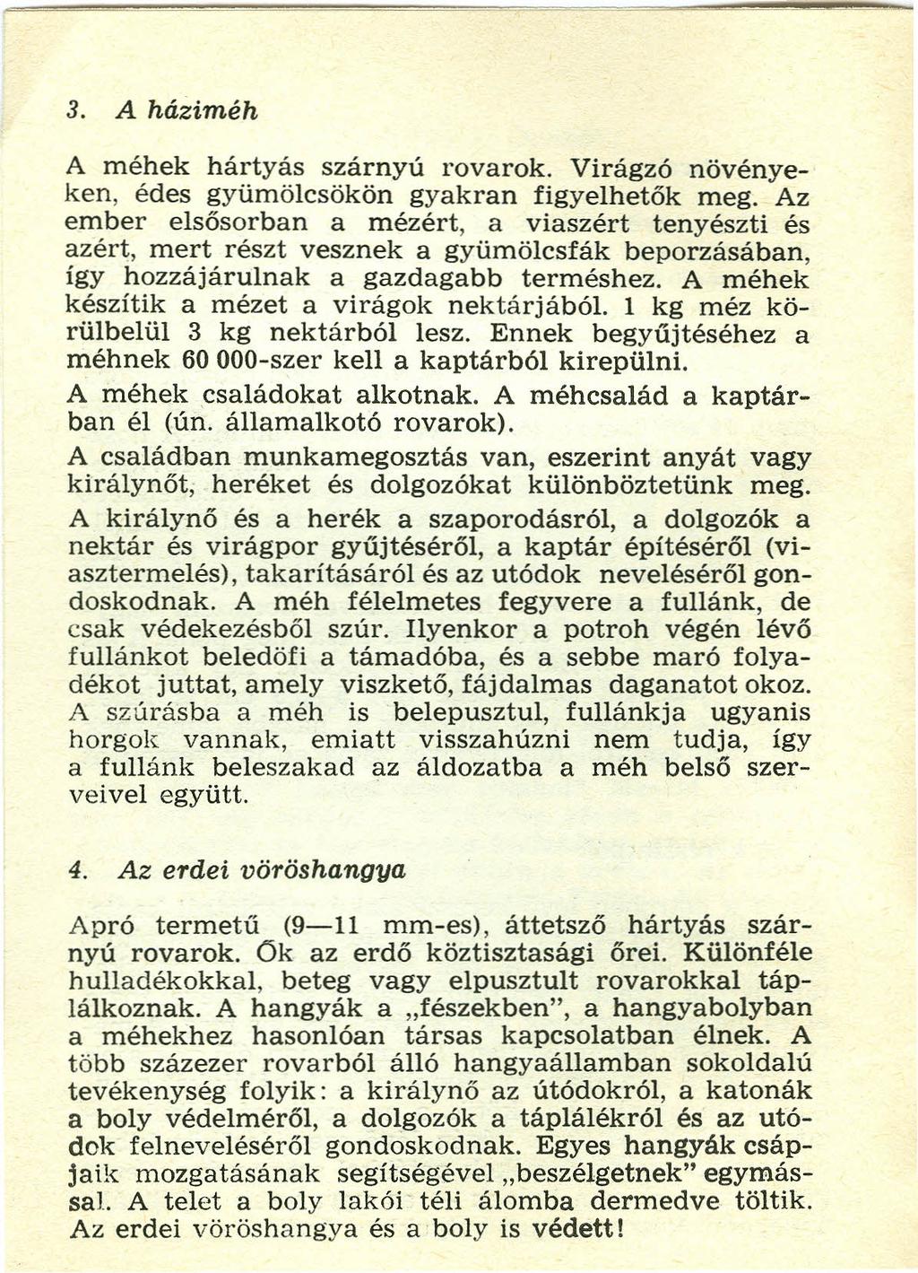 3. A háziméh A méhek hártyás szárnyú rovarok. Virágzó nevenyeken, édes gyümölcsökön gyakran figyelhetők meg.