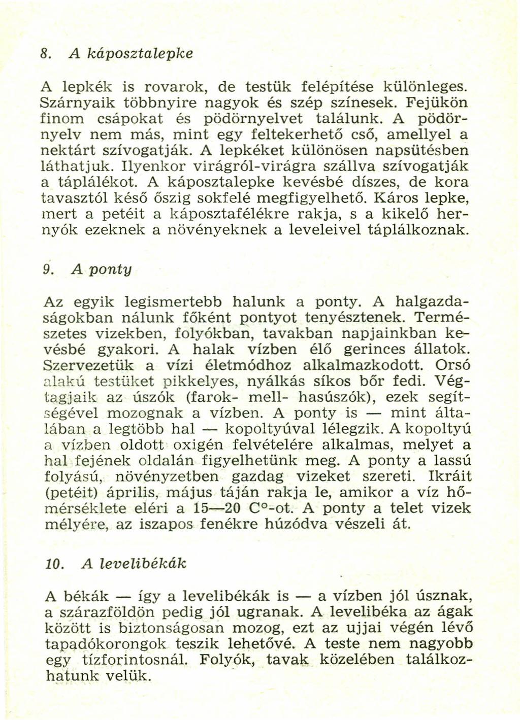 8. A káposztalepke A lepkék is rovarok, de testük felépítése különleges. Szárnyaik többnyire nagyok és szép színesek. Fejükön finom csápokat és pödörnyelvet találunk.