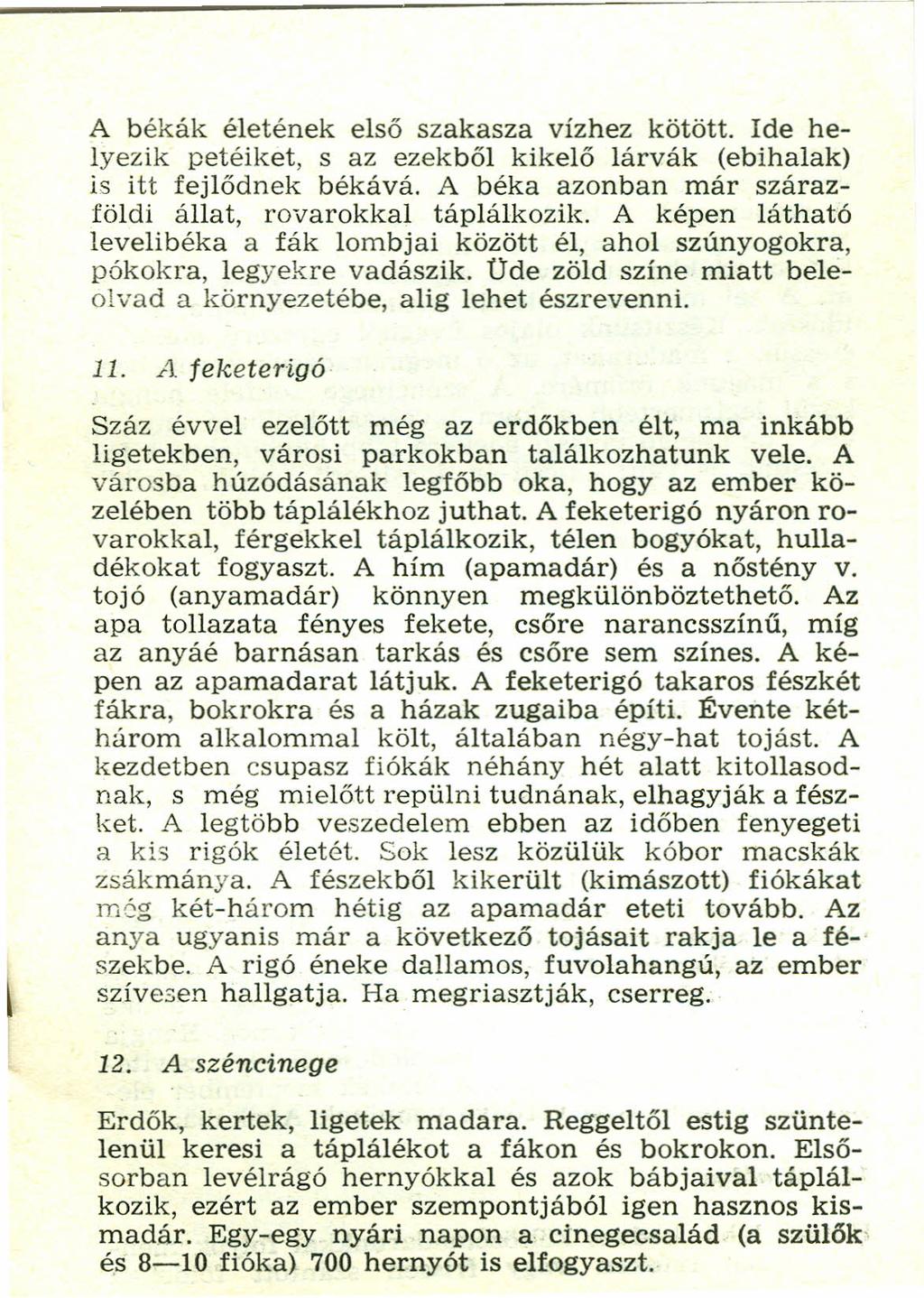 A békák életének első szakasza vízhez kötött. Ide helyezik petéiket, s az ezekből kikelő lárvák (ebihalak) is itt fejlődnek békává. A béka azonban már szárazföldi állat, rovarokkal táplálkozik.