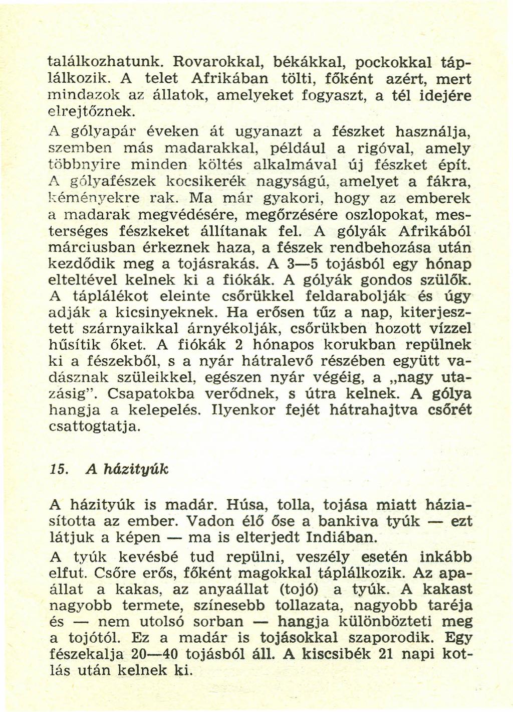 találkozhatunk. Rovarokkal, békákkal, pockokkal táplálkozik. A telet Afrikában tölti, főként azért, mert mindazok az állatok, amelyeket fogyaszt. a tél idejére elrejtőznek.