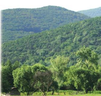 MOŽNOSTI