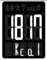 Bazális metabolizmus Metabolikus kor Test %-os vízkészlete Az elért eredményektől függően, az azokhoz kapcsolódó egyészségi állapotot kimutató határértékek külön színmegjelöléssel vannak feltüntetve