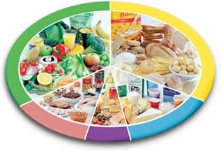 Health & Hygiene We have learned the importance of