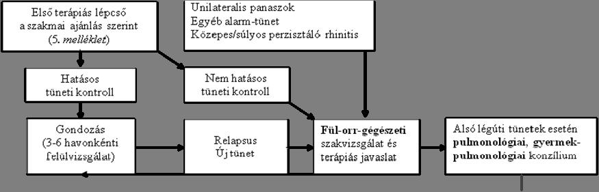 2010. évi