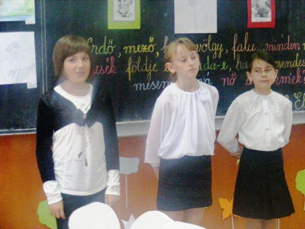 Szakképző Líceum, a bihari Gáspár András Gimnázium, a paptamási Gimnázium, a szentjobbi Gimnázium, a nagyváradi 11-es Gimnázium és természetesen a házigazda hegyközcsatári Benedek Elek Gimnázium