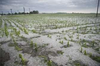 mm CC-WaterS - Climate Change and Impacts on Water Supply Title Éghajlatváltozás mezőgazdasági termelést befolyásoló tényezői Havi