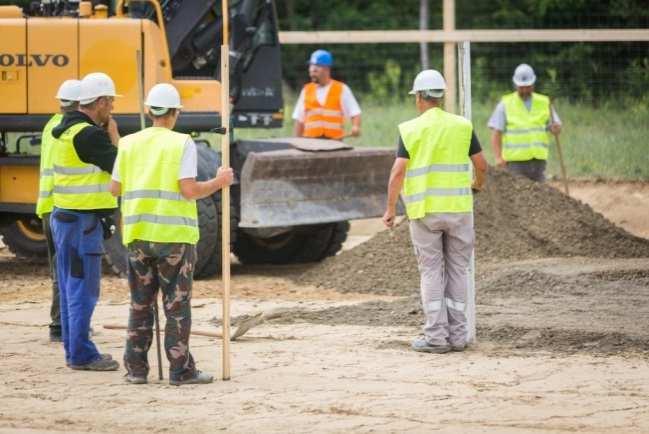 Később pedig, a munkálatok befejezése után visszatelepülhetnek a számukra alkalmas, környező területekre, és a jelenlegihez hasonló élőhelyeket hozhatnak létre.