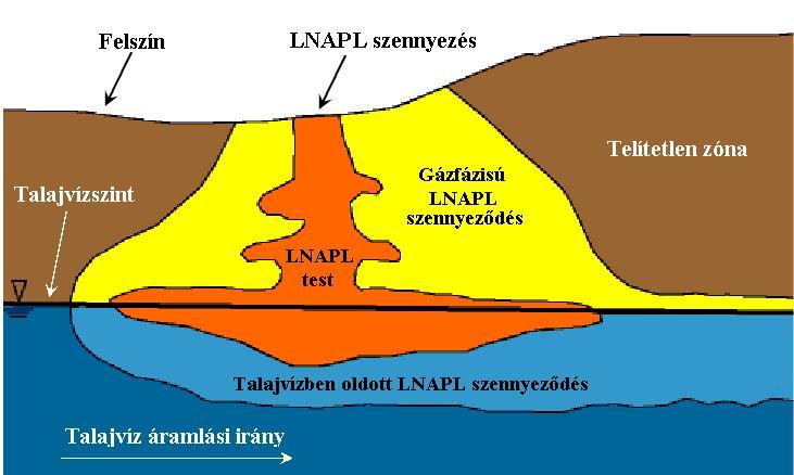 7. ábra Az LNAPL szennyezők mozgásának sematikus rajza (Delin et al., 1998 alapján). A szétterülés egy többé-kevésbé vastag, kifelé vékonyodó alakzatban történik.