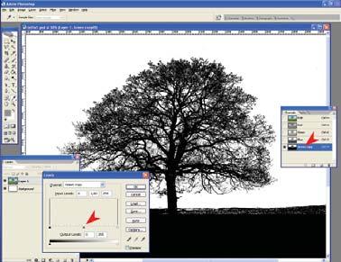 A Photoshop Window/Channels ablakában azonnal láthatóvá válik az RGB színfelbontás három csatornája, a vörös, a zöld és a kék.