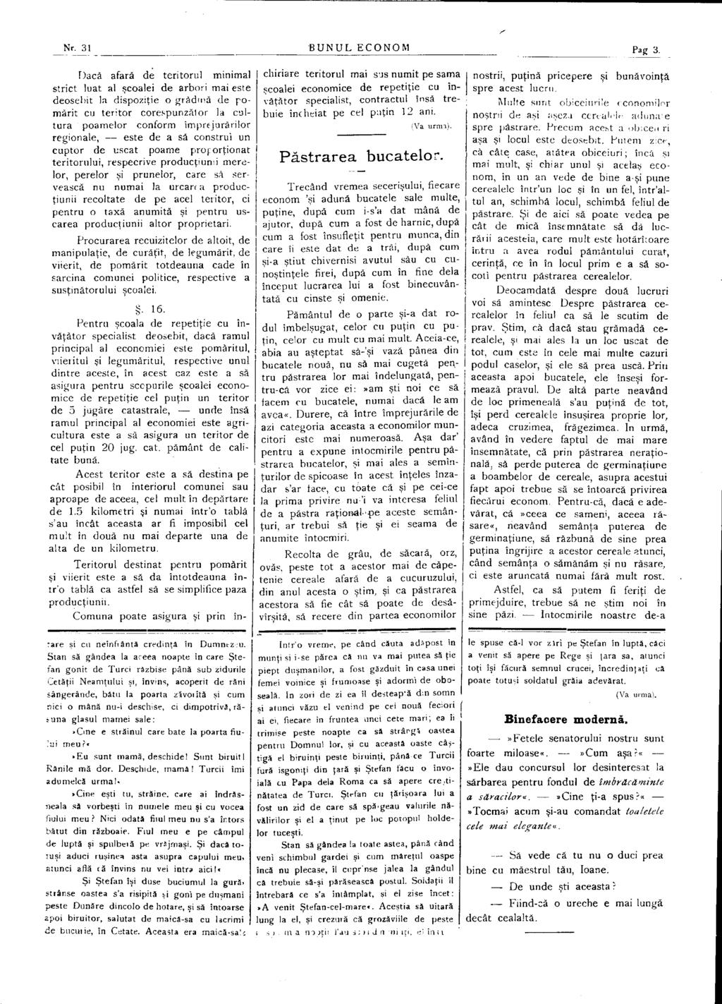 NR. 31 BUNUL ECONOM Pag 3.
