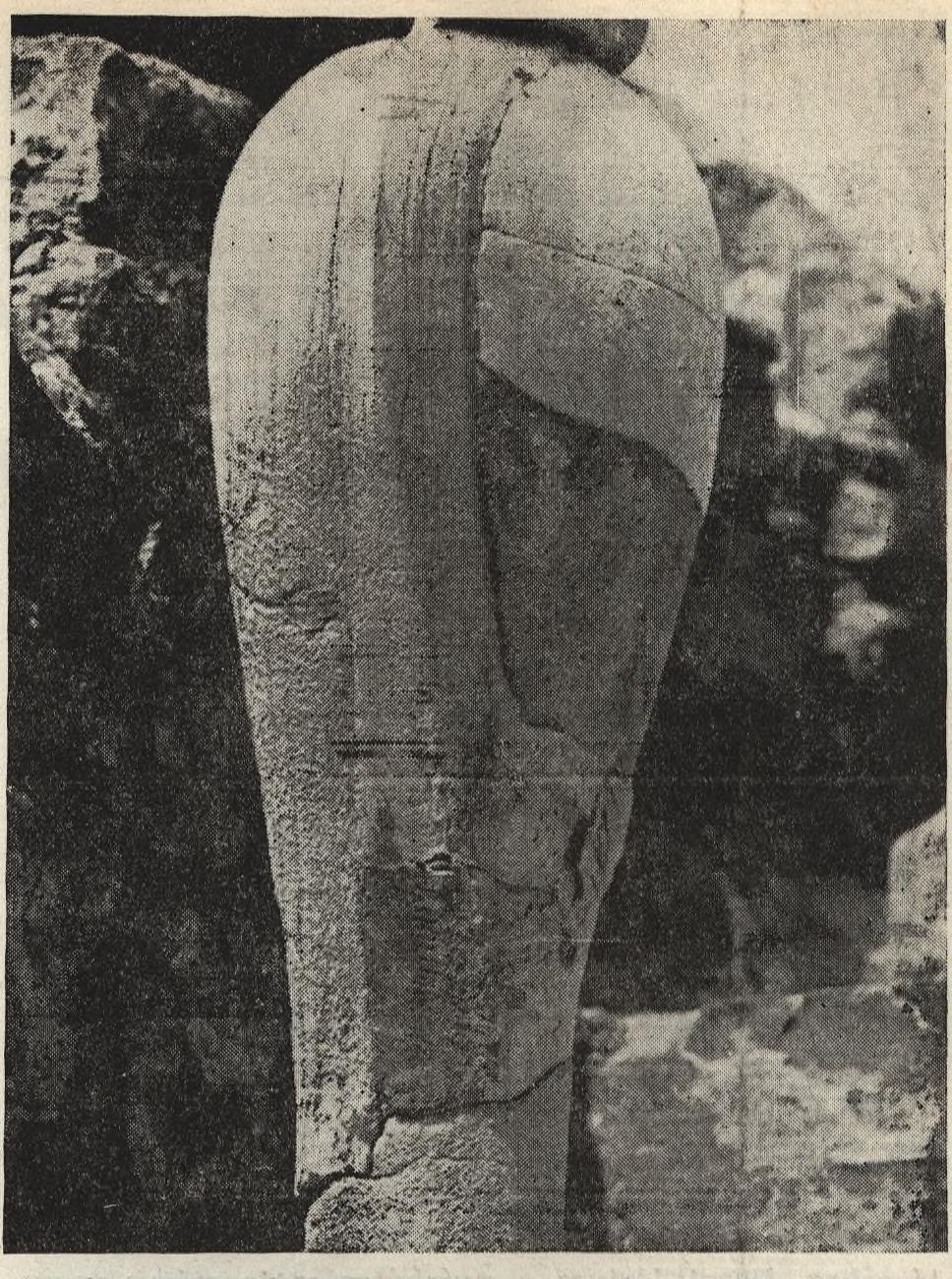 Nyírbátor (református templom kapuja és egyéb kőelemek, 15. ábra), Bács (ma Jugoszlávia: párkány). 13. ábra. Az ún.
