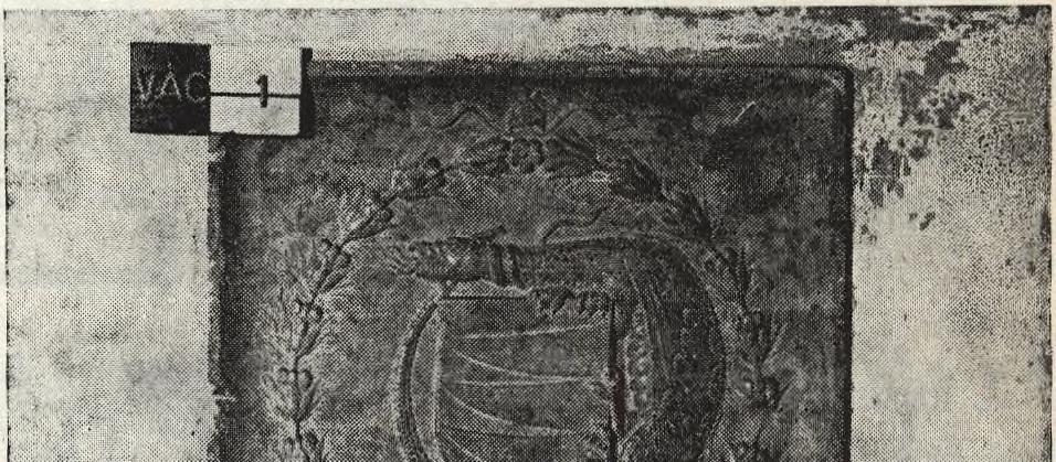 1981 Somogy tolnai műemlékek (9) + + Nyírbátor, templomok, kőtár + + 1982 Szeged, kőtárak + Visegrád, fellegvári kőtár + Balatonfelvidéki műemlékek (36) + + Tar, templom + + 2. táblázat.
