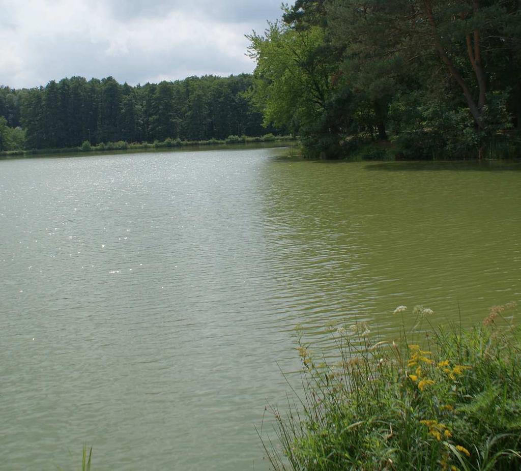 Őrségi Nemzeti Parkhoz tartoznak.