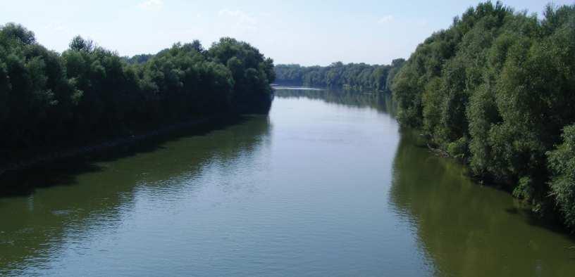 A Tisza folyó bemutatása Mint Isten tiszta könnye földre ejtve a Tisza füzek tenyerén ragyog.