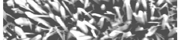 alumínium-oxid+fp T=1100 C, t=360 min Távolság (mm) hımérséklet Ru-Kα Mo-Kα Cd-Kα Te-Lα I-Lα Cs-Lα 1200 1100 1000 900 800 700 600 500 400 300 200 100 1200 1100 1000 900 800 700 600 500 400 300 200