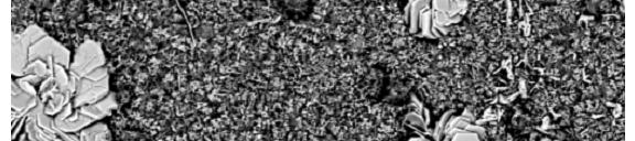 400 300 200 100 Hımérséklet ( C) c (tömeg %) 60 50 40 30 20 10 hımérséklet O Mo Ru Mn Fe Ni 800 700 600 500 400 300 200