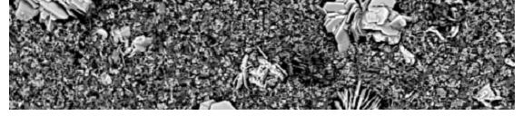 (mm) c (tömeg %) 90 80 70 60 50 40 30 20 10 c. Kísérlet: 54. vízgız(850 C)ox.