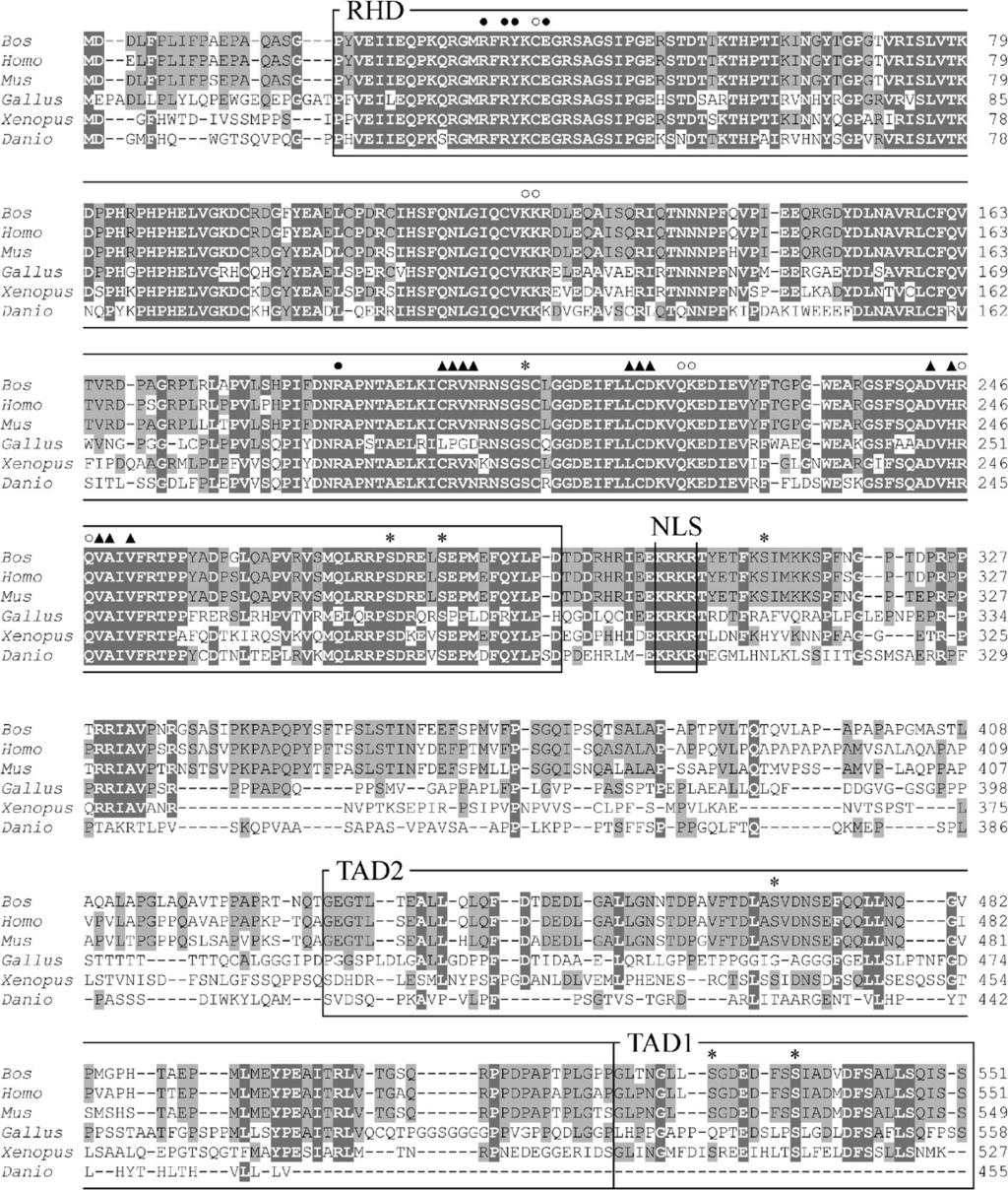 ARTICLE IN PRESS 952 M. Doleschall et al. / Developmental and Comparative Immunology 31 (2007) 945 961 Fig. 2.