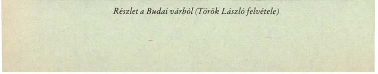 Részlet a
