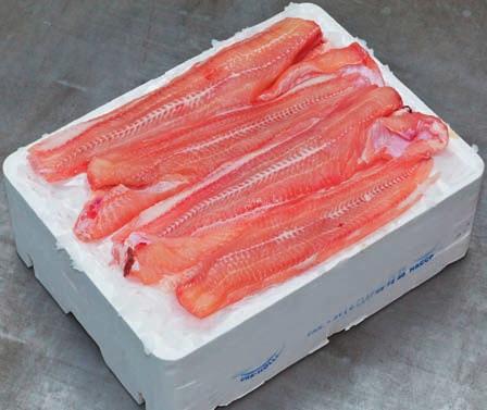 (DOSIDICUS GIGAS) 100-800 g HÁLÓS