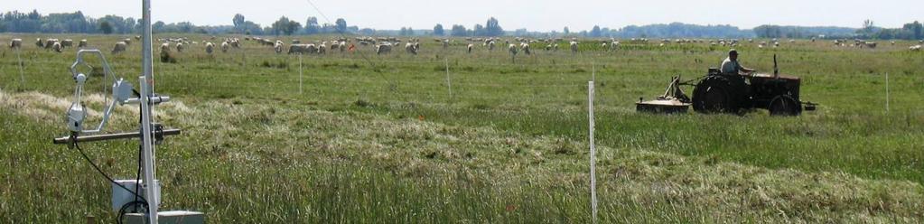 A legelőt a termőhelyi és ökológiai adottságok mellett jelenleg elsősorban a természetvédelmi gyepkezelés, illetve az őshonos szürkemarha állomány (Bos taurus primigenius podolicus) fenntartása