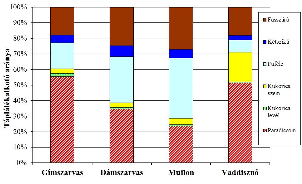 tárgylemezen lévő mintákat 100X-os és 400X-os nagyításon szisztematikusan haladva vizsgáltuk.